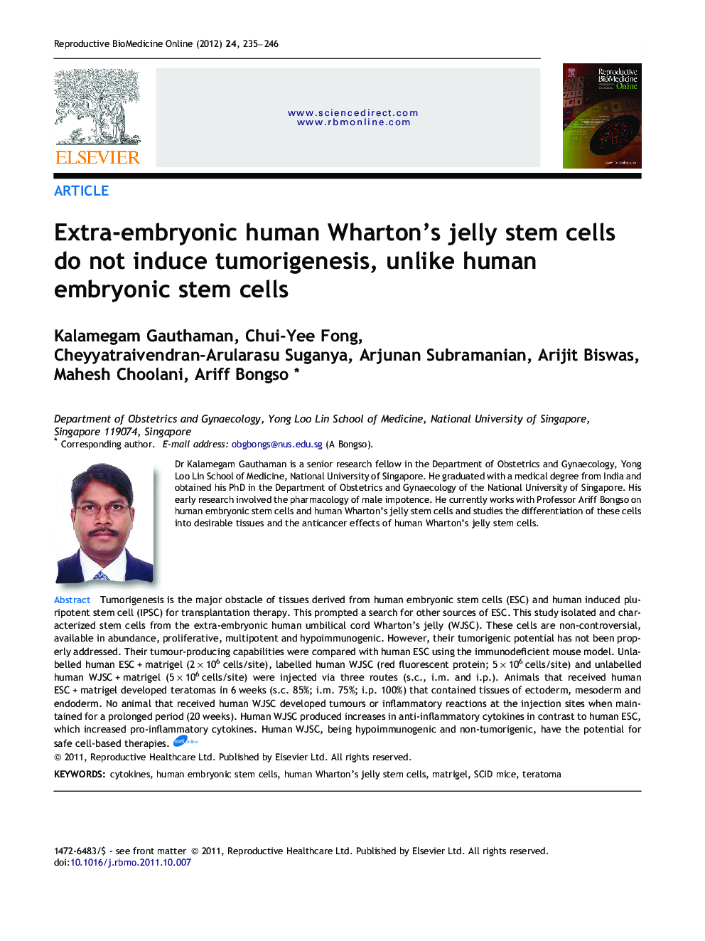 Extra-embryonic human Wharton’s jelly stem cells do not induce tumorigenesis, unlike human embryonic stem cells 