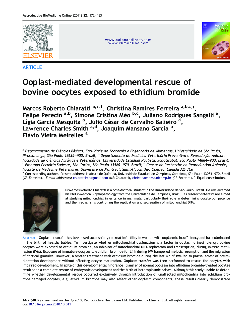 Ooplast-mediated developmental rescue of bovine oocytes exposed to ethidium bromide 