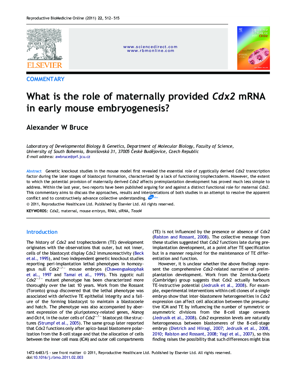 What is the role of maternally provided Cdx2 mRNA in early mouse embryogenesis?