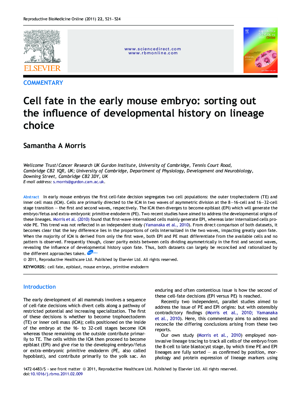 Cell fate in the early mouse embryo: sorting out the influence of developmental history on lineage choice