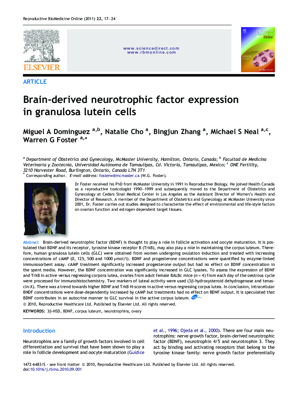 Brain-derived neurotrophic factor expression in granulosa lutein cells 