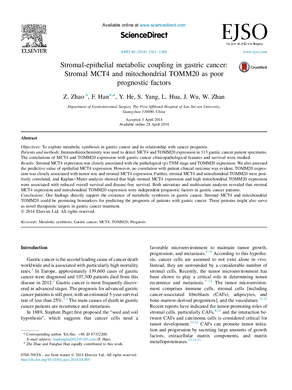 Stromal-epithelial metabolic coupling in gastric cancer: Stromal MCT4 and mitochondrial TOMM20 as poor prognostic factors