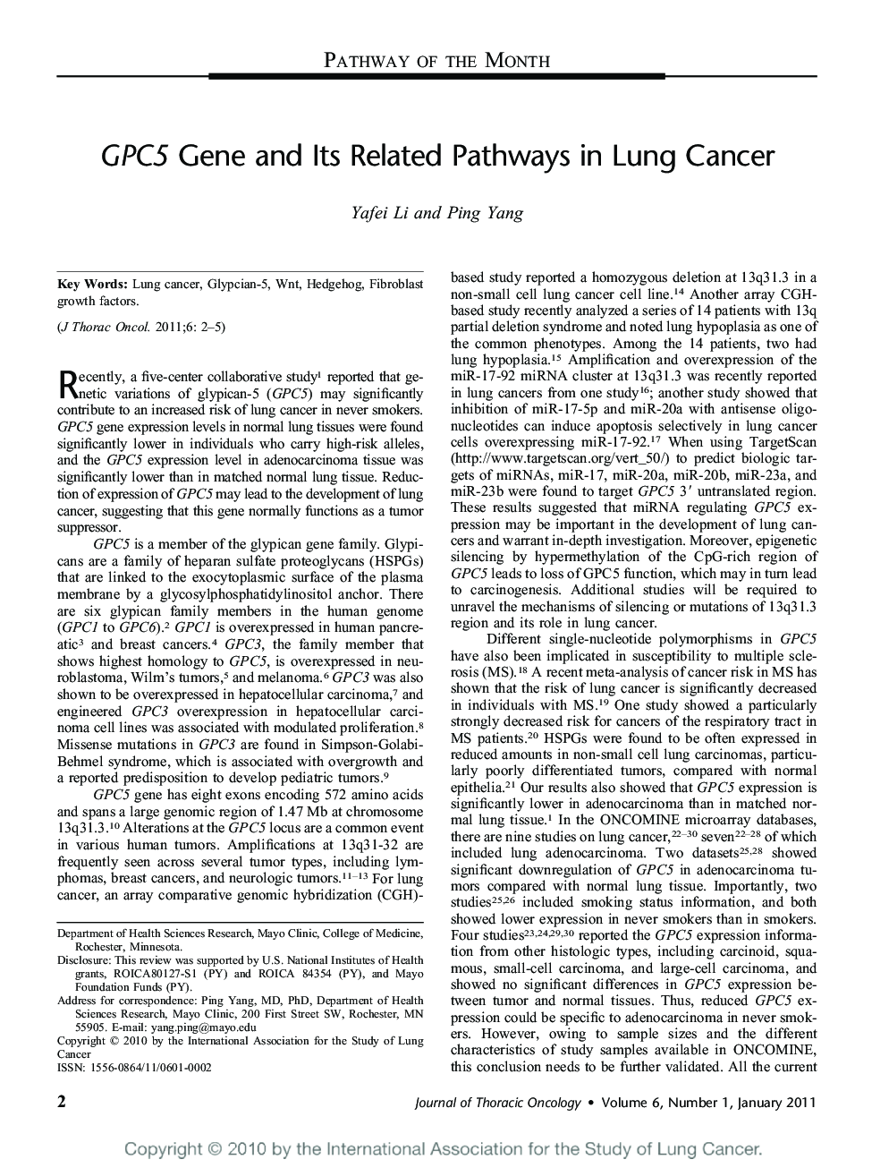 GPC5 Gene and Its Related Pathways in Lung Cancer