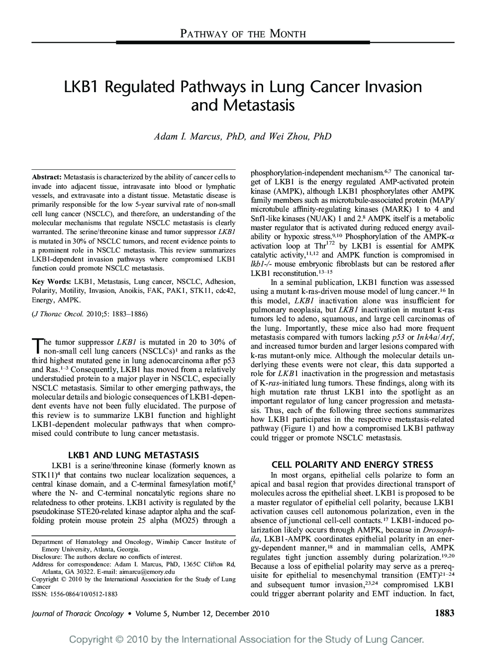 LKB1 Regulated Pathways in Lung Cancer Invasion and Metastasis 