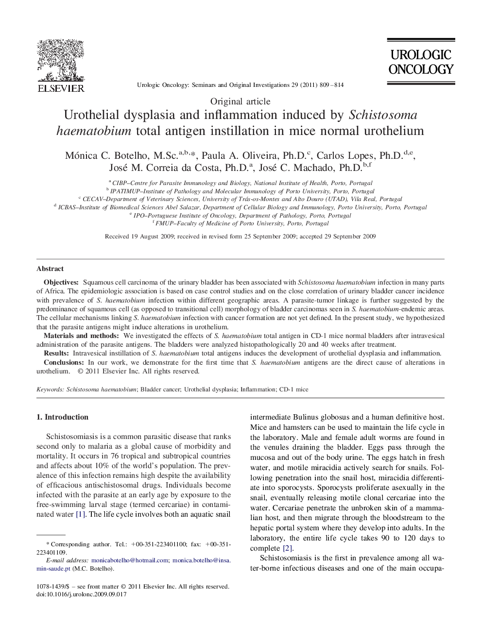 Urothelial dysplasia and inflammation induced by Schistosoma haematobium total antigen instillation in mice normal urothelium