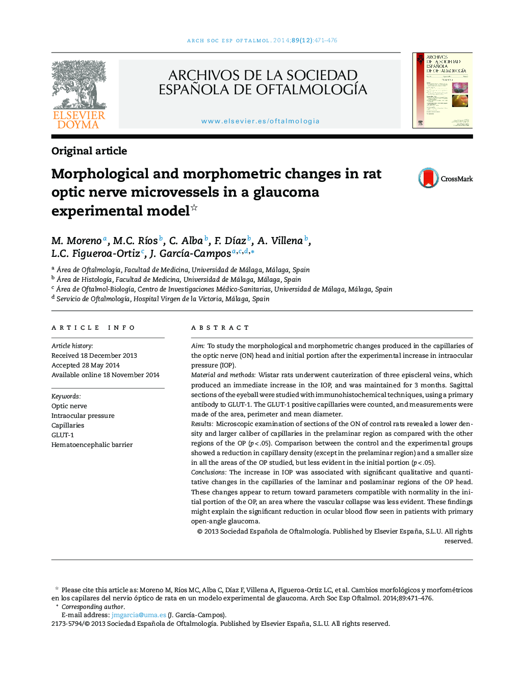 Morphological and morphometric changes in rat optic nerve microvessels in a glaucoma experimental model 