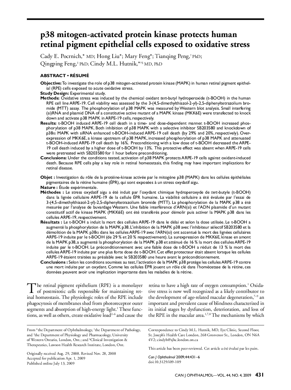 p38 mitogen-activated protein kinase protects human retinal pigment epithelial cells exposed to oxidative stress 1