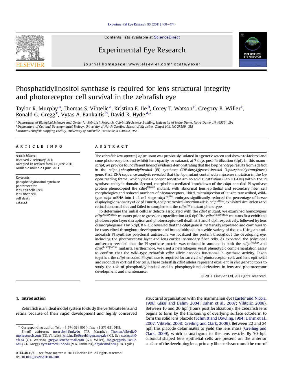 Phosphatidylinositol synthase is required for lens structural integrity and photoreceptor cell survival in the zebrafish eye