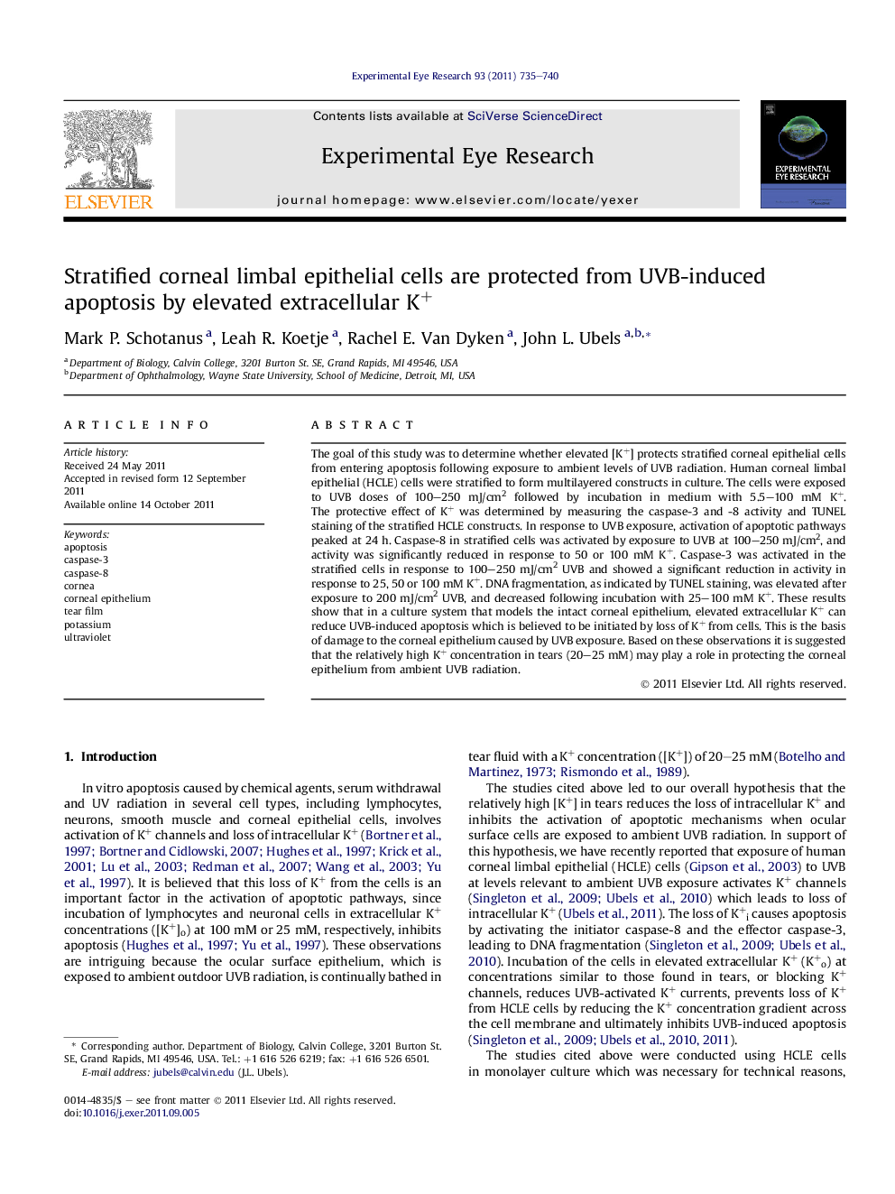 Stratified corneal limbal epithelial cells are protected from UVB-induced apoptosis by elevated extracellular K+