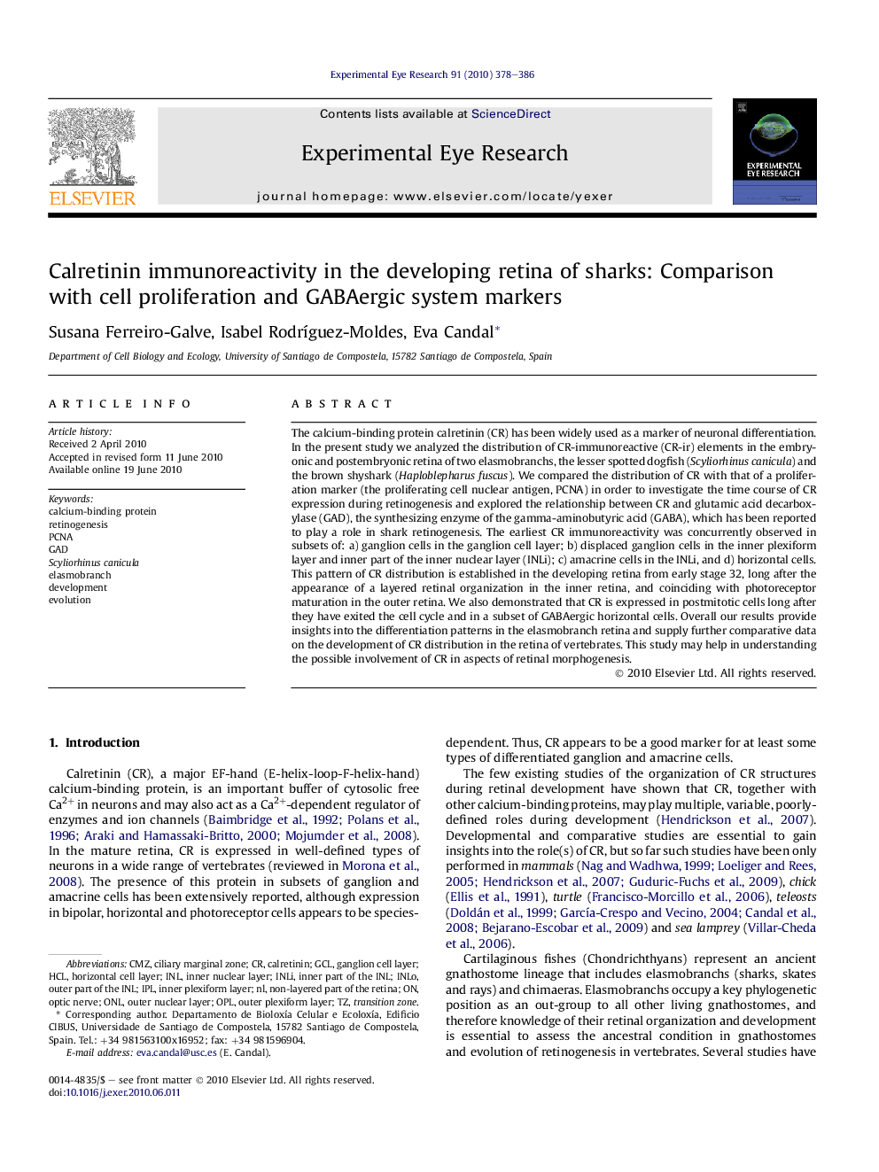 Calretinin immunoreactivity in the developing retina of sharks: Comparison with cell proliferation and GABAergic system markers