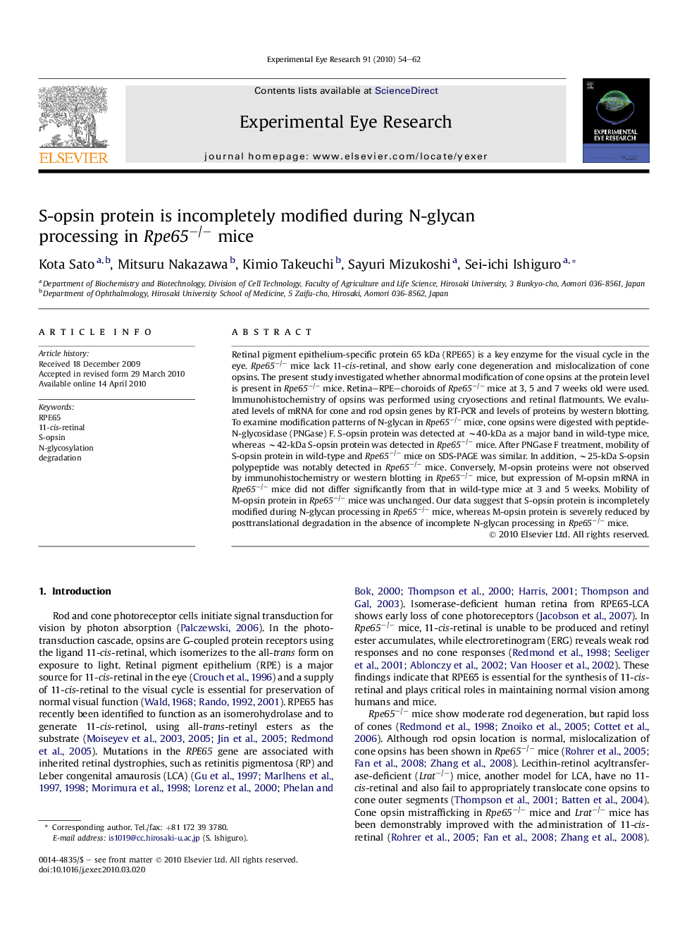 S-opsin protein is incompletely modified during N-glycan processing in Rpe65−/− mice