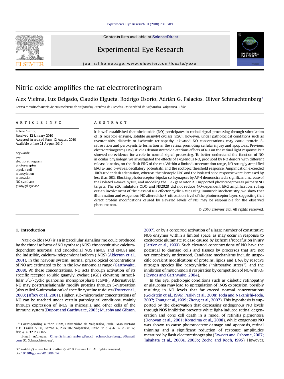 Nitric oxide amplifies the rat electroretinogram