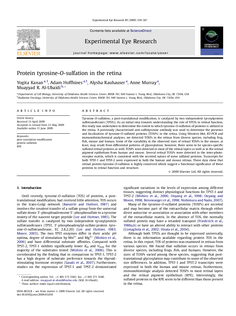 Protein tyrosine-O-sulfation in the retina