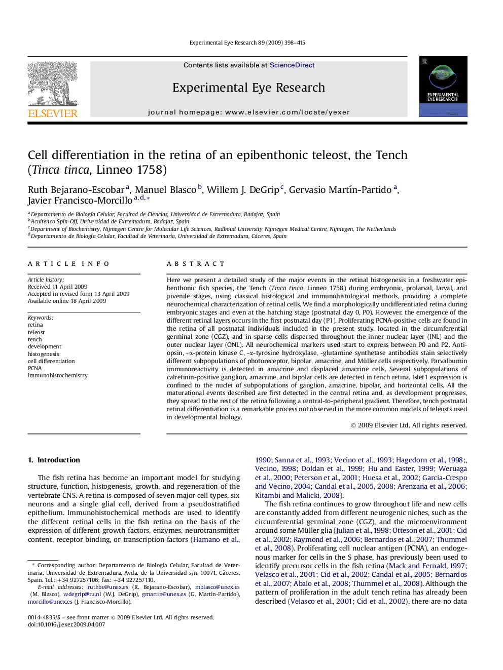 Cell differentiation in the retina of an epibenthonic teleost, the Tench (Tinca tinca, Linneo 1758)