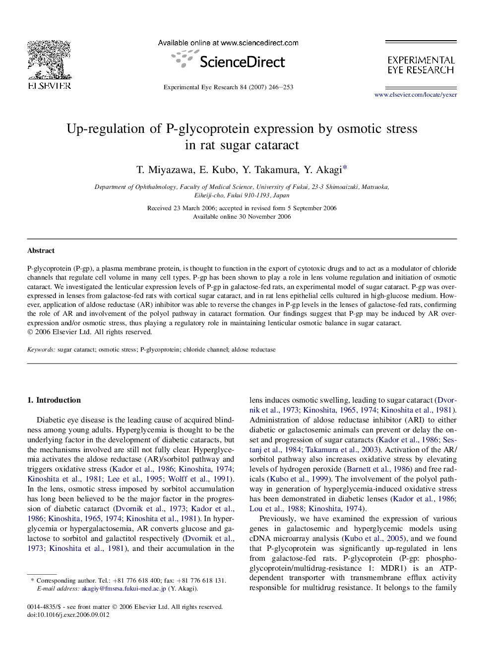 Up-regulation of P-glycoprotein expression by osmotic stress in rat sugar cataract