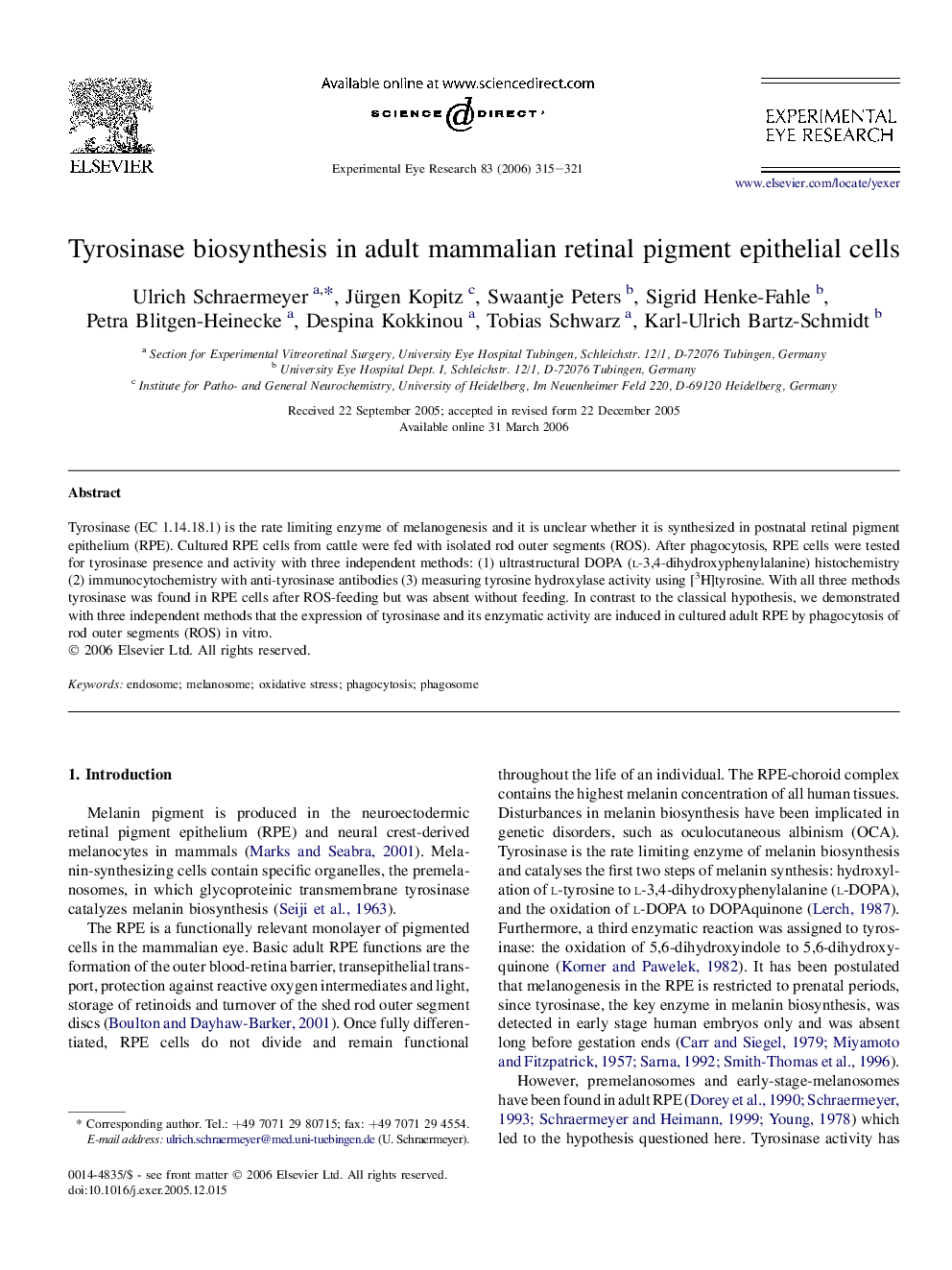 Tyrosinase biosynthesis in adult mammalian retinal pigment epithelial cells