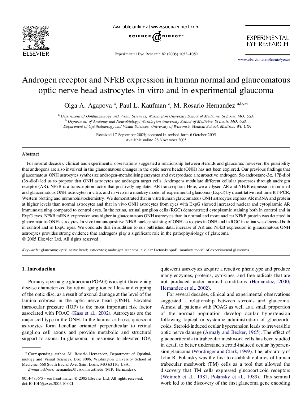 Androgen receptor and NFkB expression in human normal and glaucomatous optic nerve head astrocytes in vitro and in experimental glaucoma