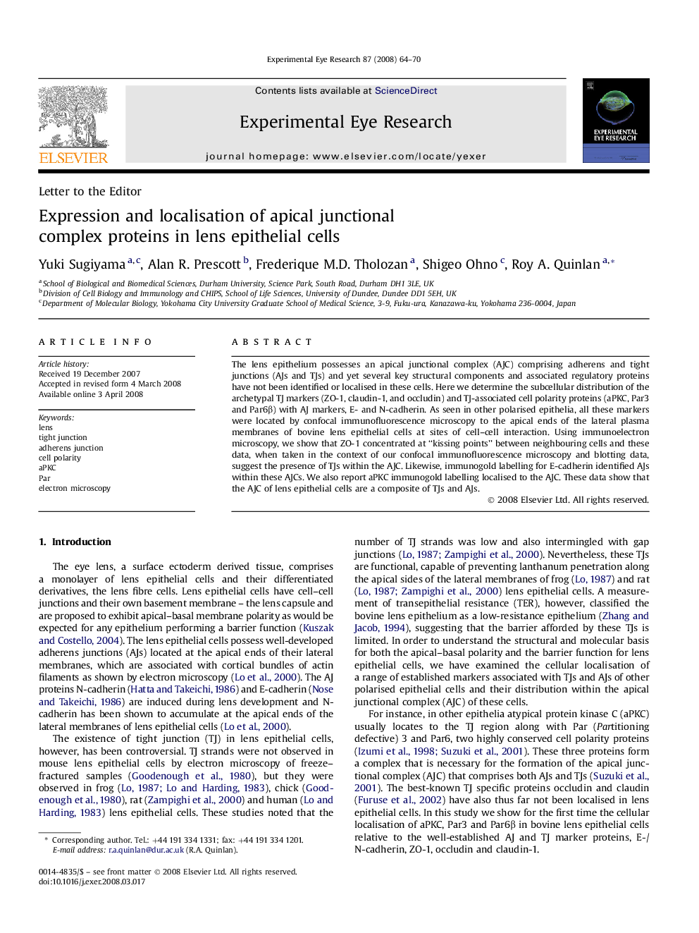 Expression and localisation of apical junctional complex proteins in lens epithelial cells