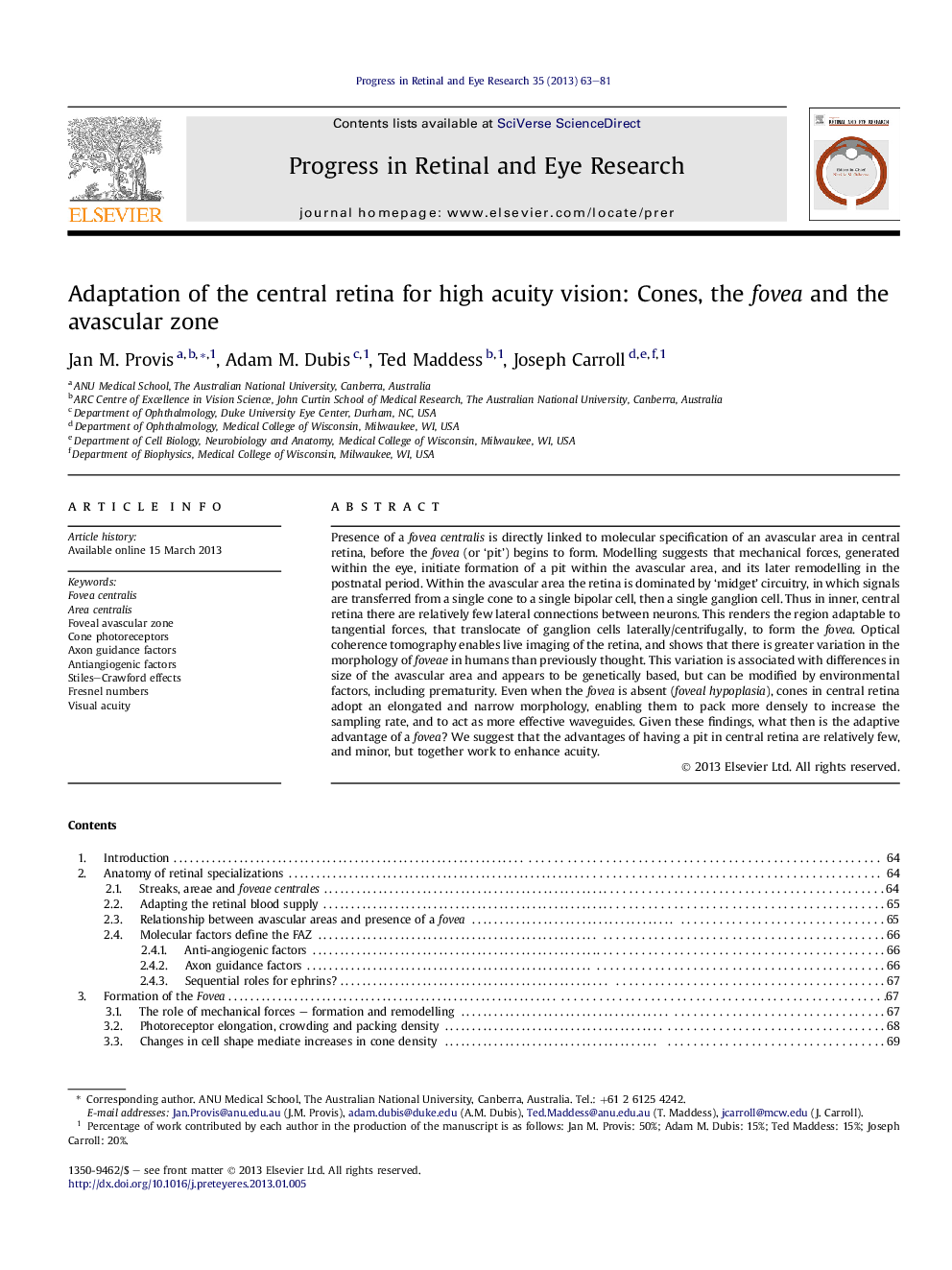 Adaptation of the central retina for high acuity vision: Cones, the fovea and the avascular zone