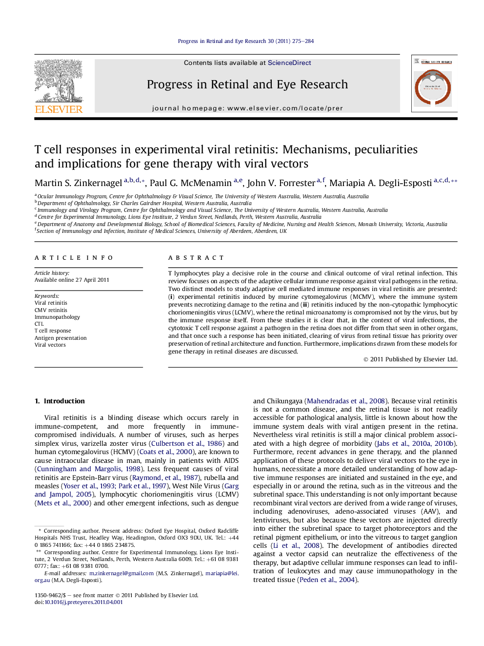 T cell responses in experimental viral retinitis: Mechanisms, peculiarities and implications for gene therapy with viral vectors