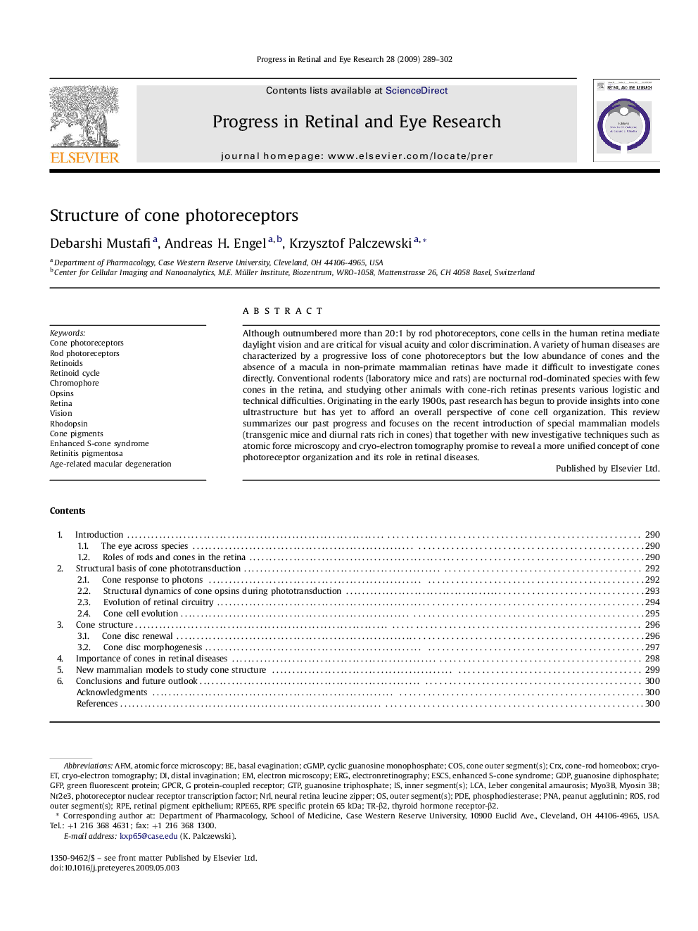 Structure of cone photoreceptors