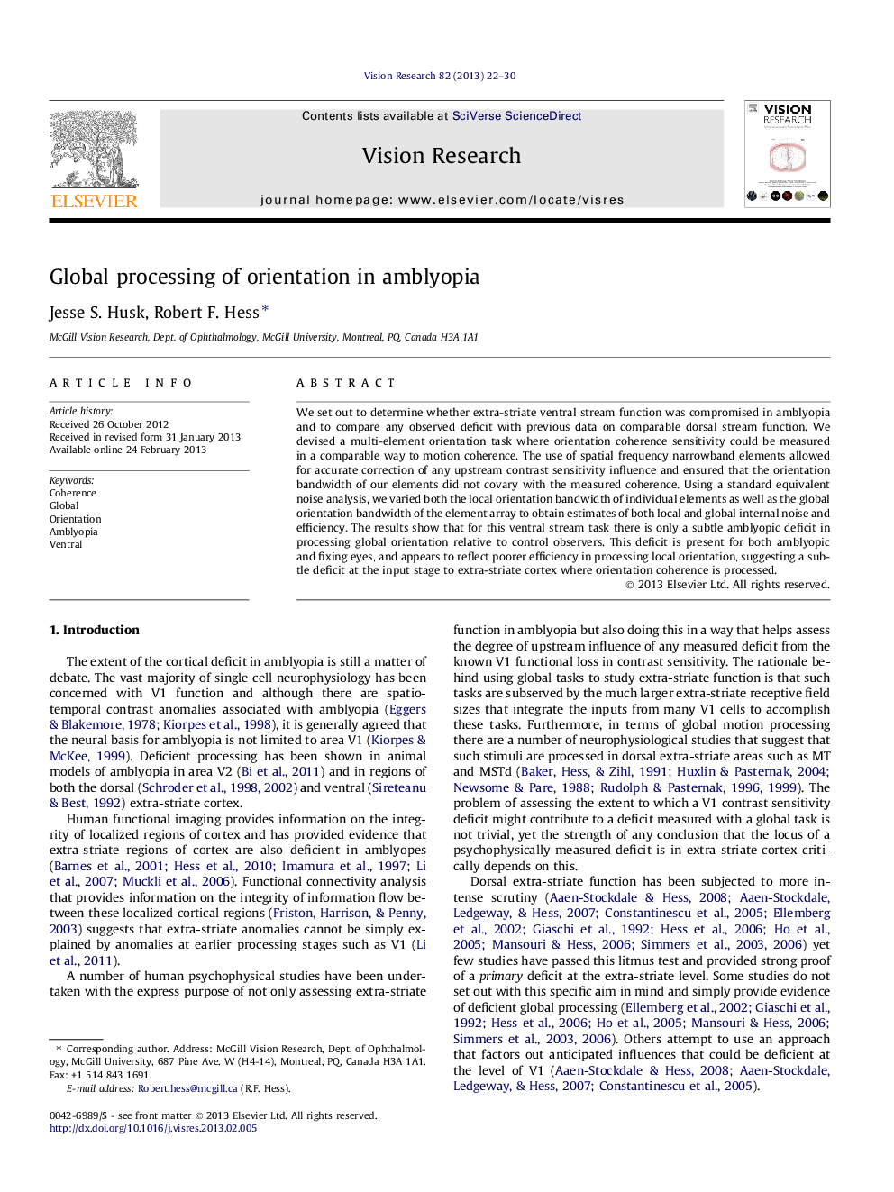 Global processing of orientation in amblyopia