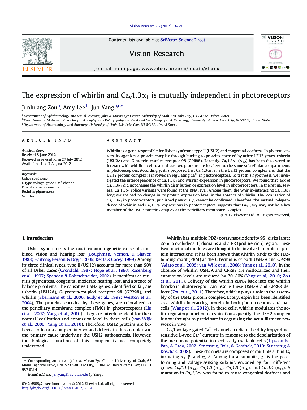 The expression of whirlin and Cav1.3α1 is mutually independent in photoreceptors