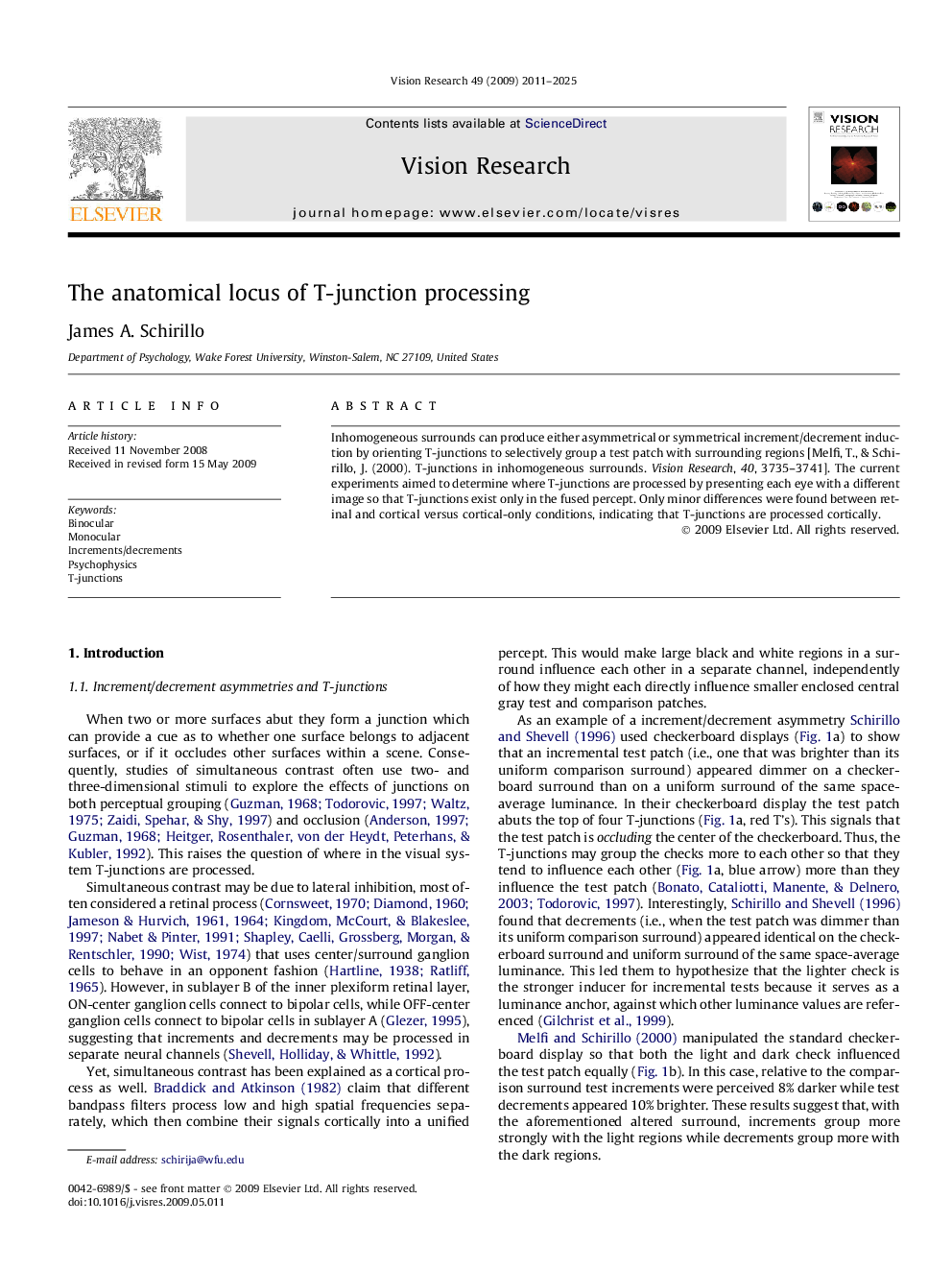 The anatomical locus of T-junction processing