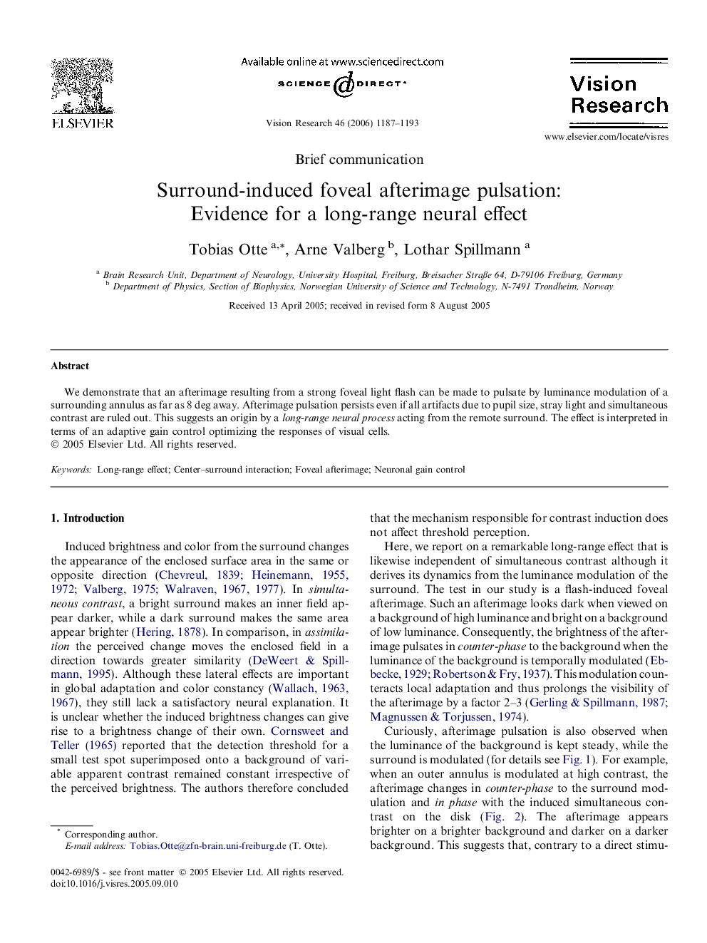 Surround-induced foveal afterimage pulsation: Evidence for a long-range neural effect