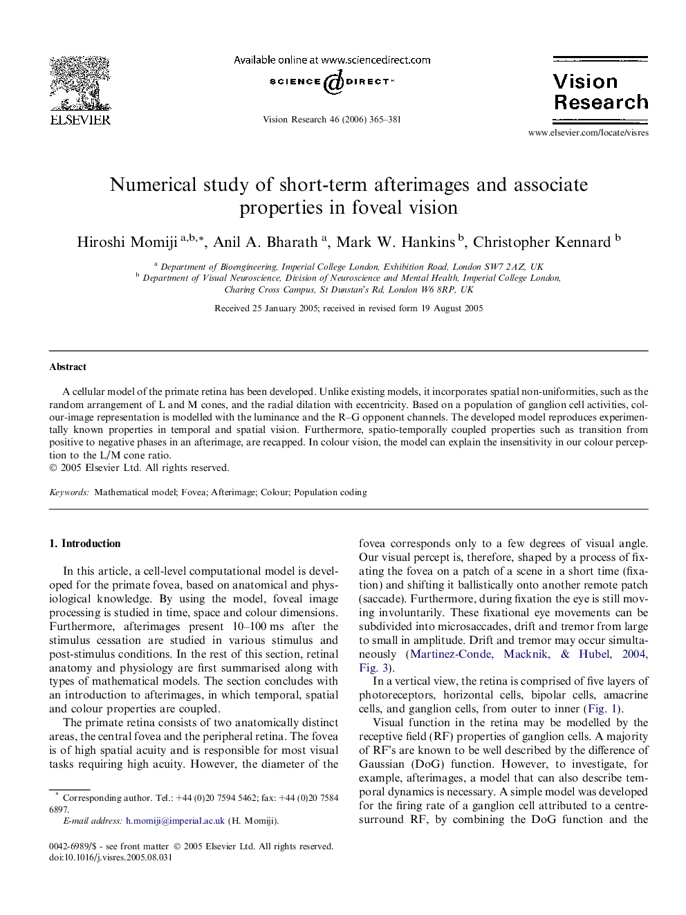 Numerical study of short-term afterimages and associate properties in foveal vision