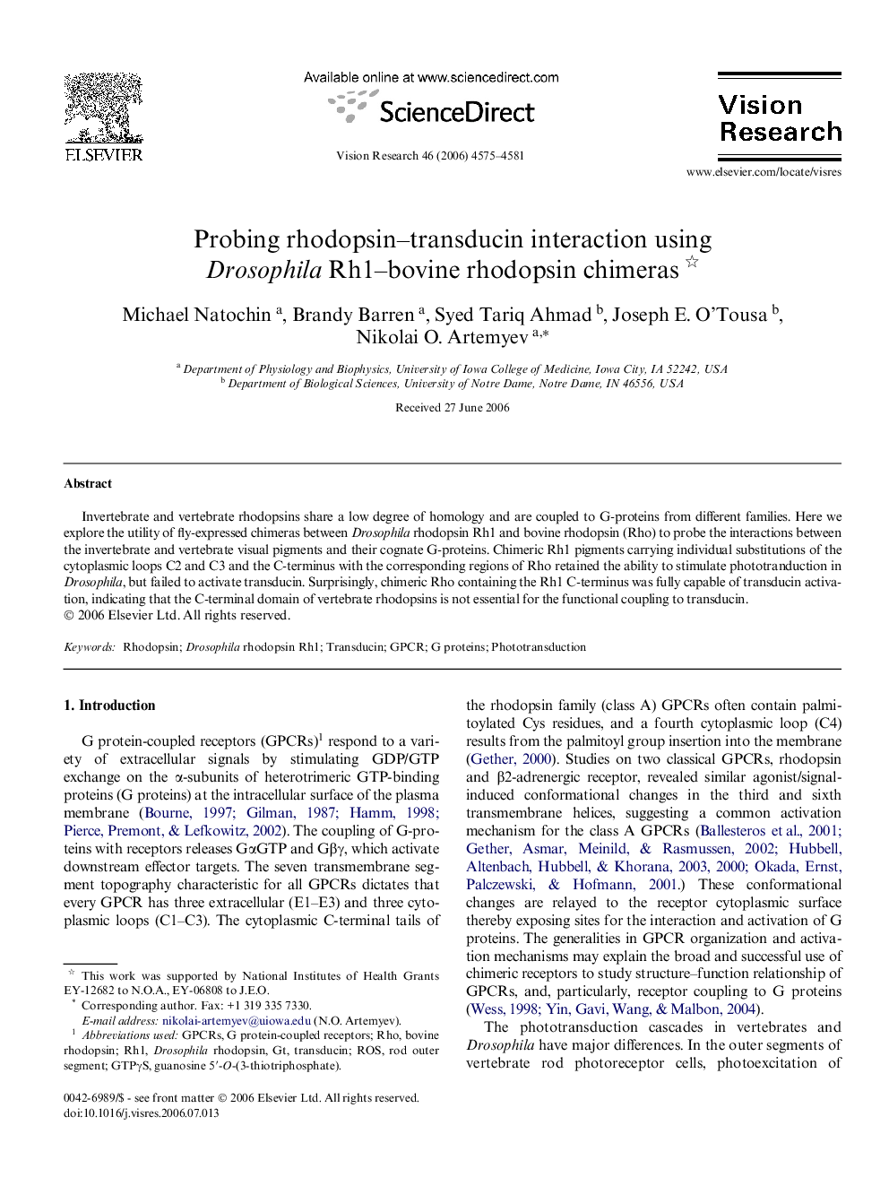 Probing rhodopsin–transducin interaction using Drosophila Rh1–bovine rhodopsin chimeras 