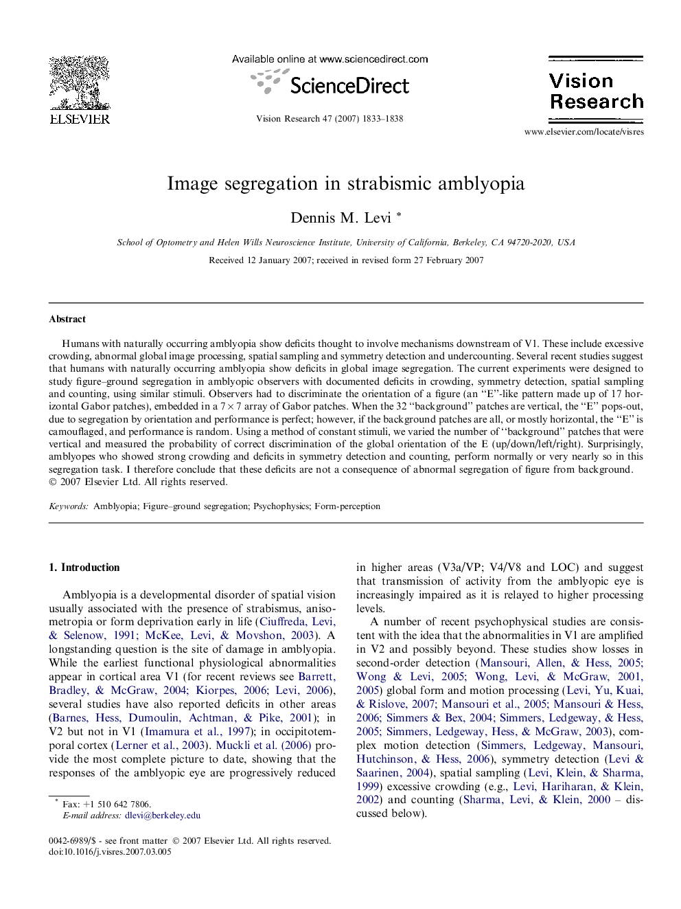 Image segregation in strabismic amblyopia