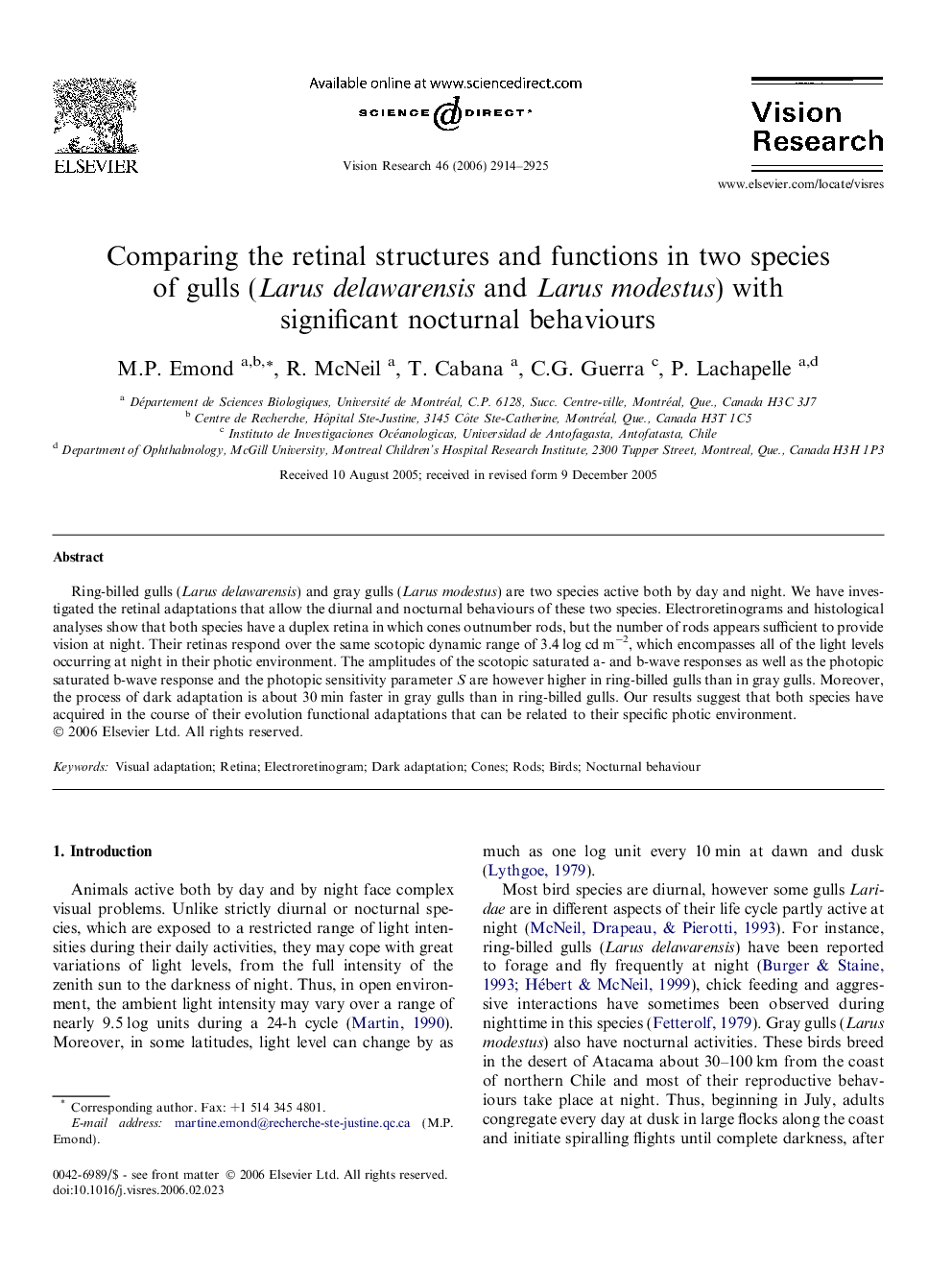 Comparing the retinal structures and functions in two species of gulls (Larus delawarensis and Larus modestus) with significant nocturnal behaviours