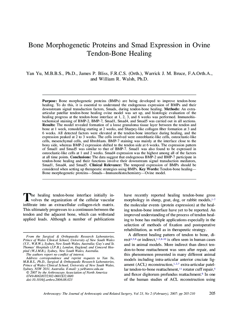 Bone Morphogenetic Proteins and Smad Expression in Ovine Tendon-Bone Healing 