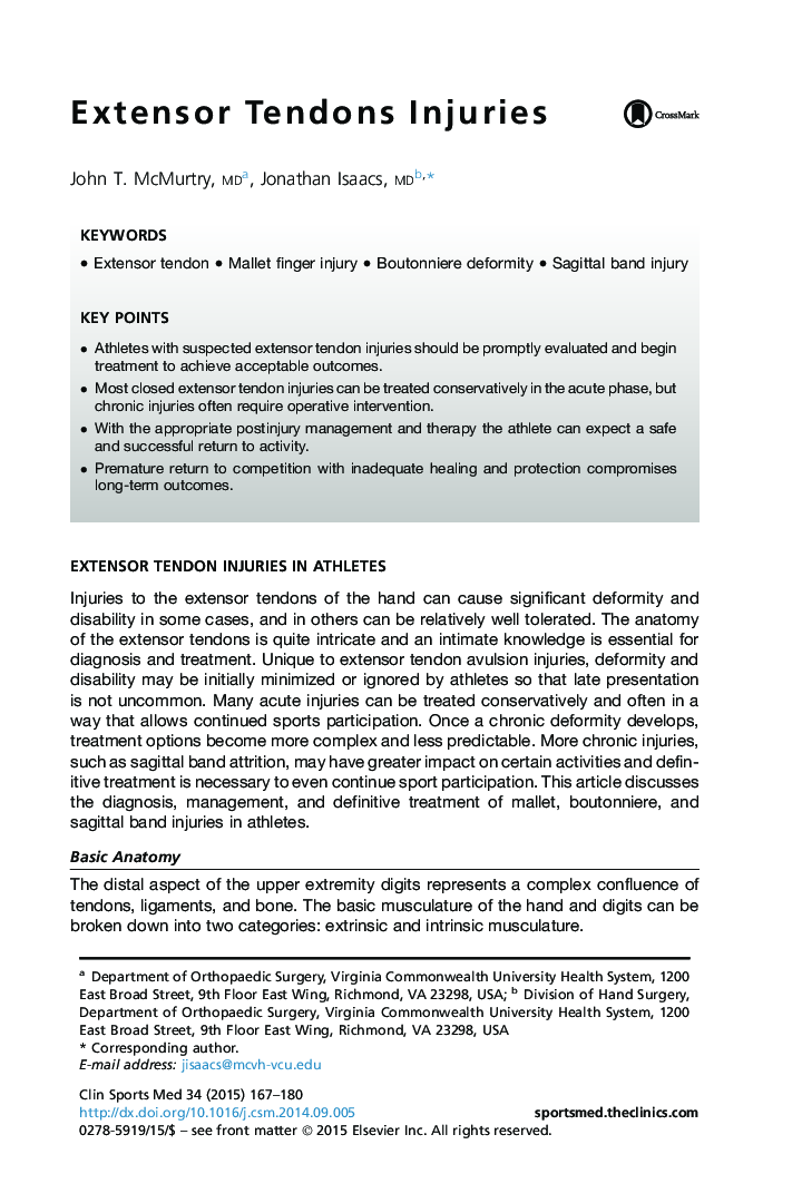 Extensor Tendons Injuries