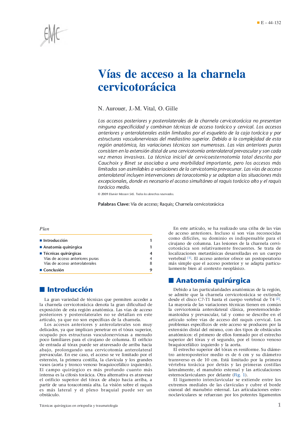 Vías de acceso a la charnela cervicotorácica