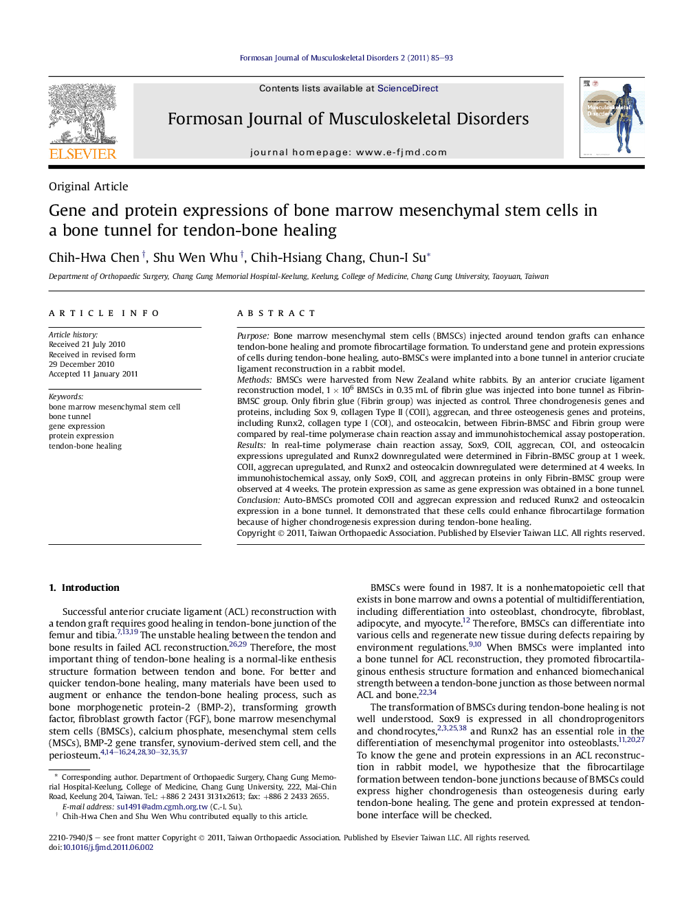 Gene and protein expressions of bone marrow mesenchymal stem cells in a boneÂ tunnel for tendon-bone healing