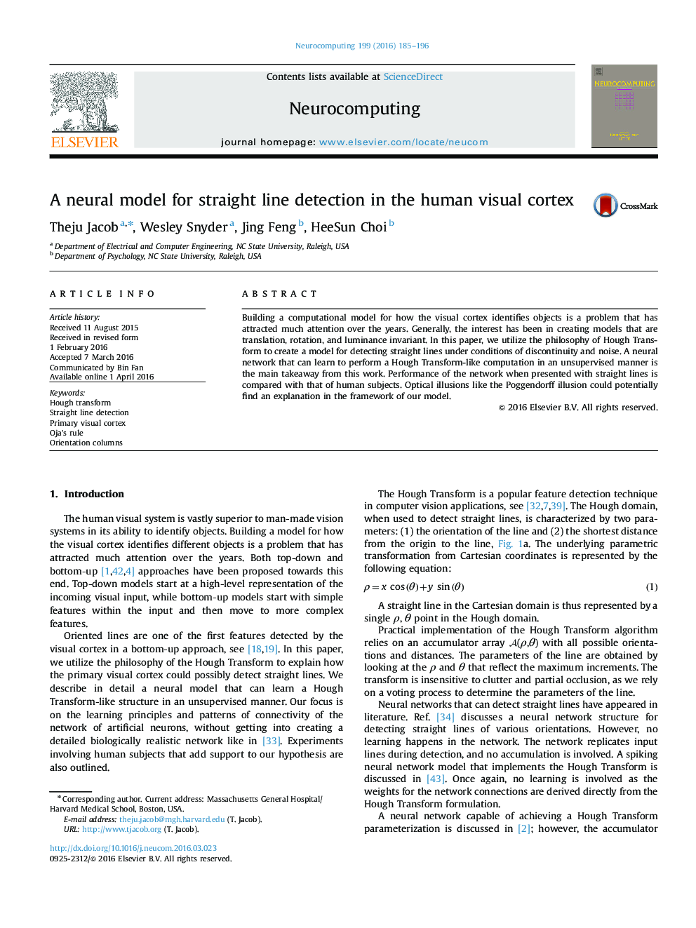 A neural model for straight line detection in the human visual cortex