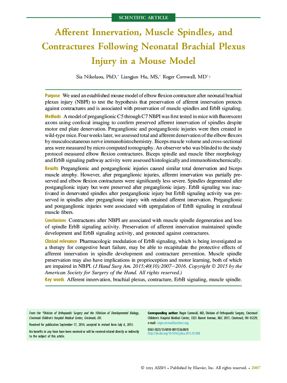 Afferent Innervation, Muscle Spindles, and Contractures Following Neonatal Brachial Plexus Injury in a Mouse Model 