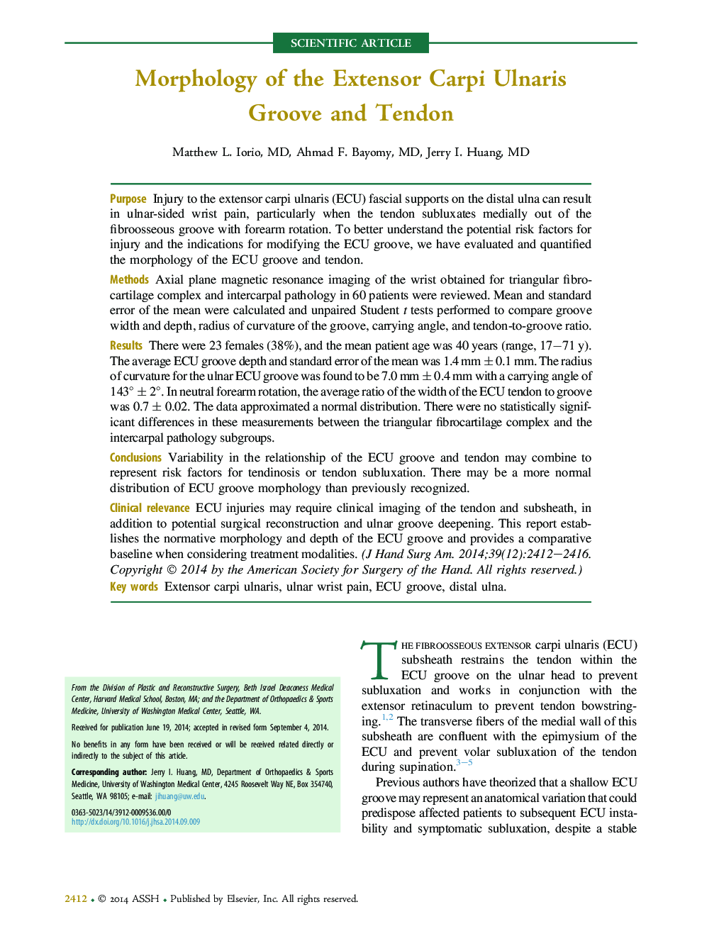 Morphology of the Extensor Carpi Ulnaris Groove and Tendon 