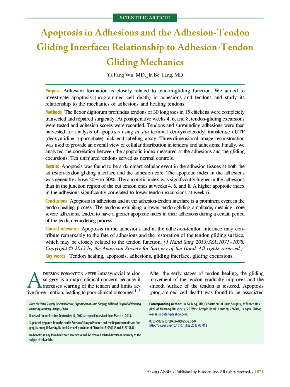 Apoptosis in Adhesions and the Adhesion-Tendon Gliding Interface: Relationship to Adhesion-Tendon Gliding Mechanics 