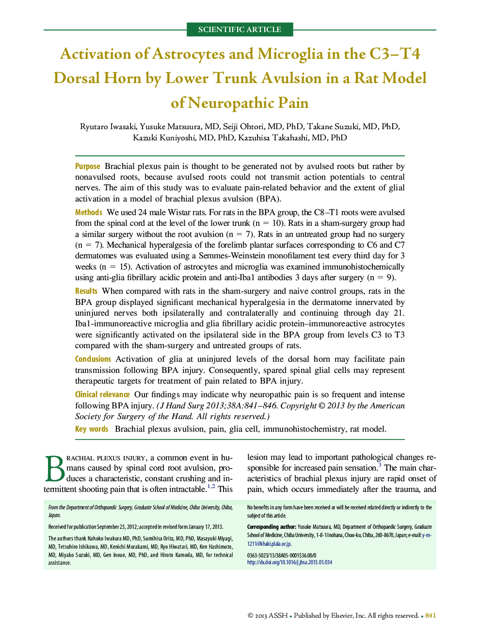 Activation of Astrocytes and Microglia in the C3–T4 Dorsal Horn by Lower Trunk Avulsion in a Rat Model of Neuropathic Pain 