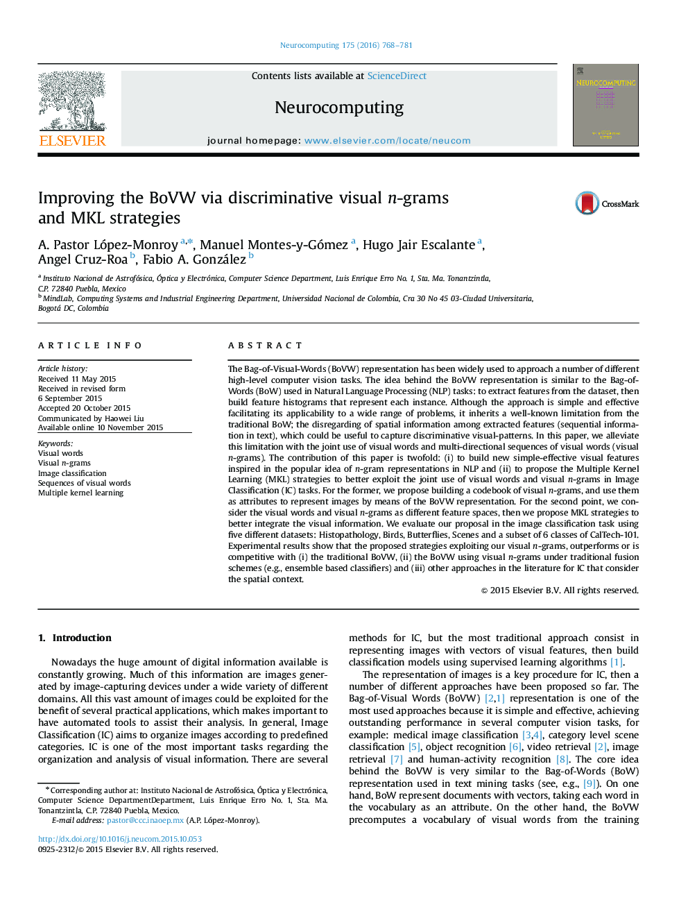 Improving the BoVW via discriminative visual n-grams and MKL strategies