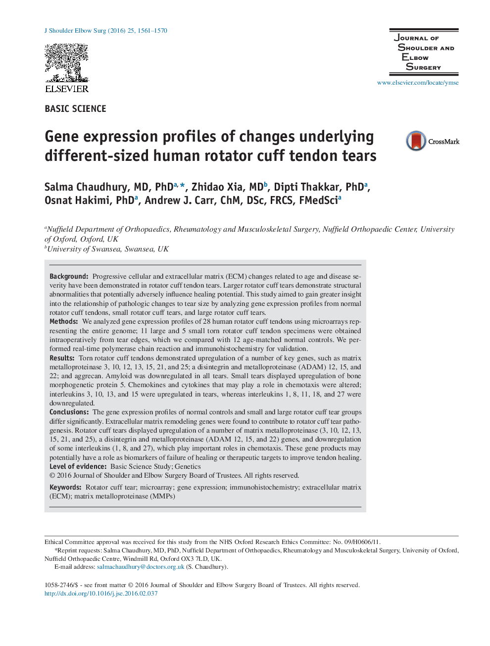 Gene expression profiles of changes underlying different-sized human rotator cuff tendon tears 