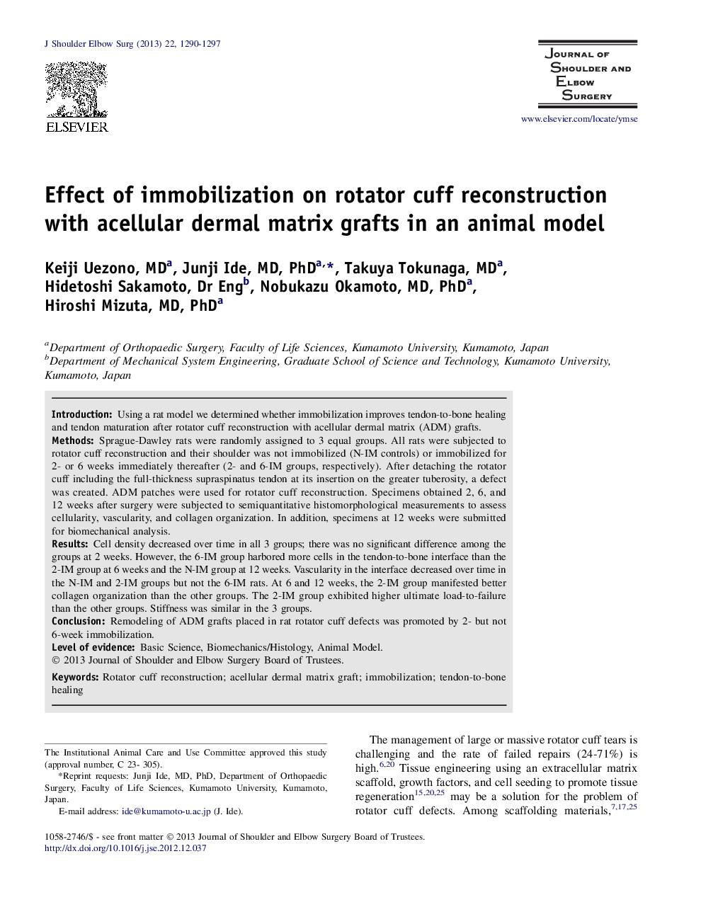 Effect of immobilization on rotator cuff reconstruction with acellular dermal matrix grafts in an animal model 