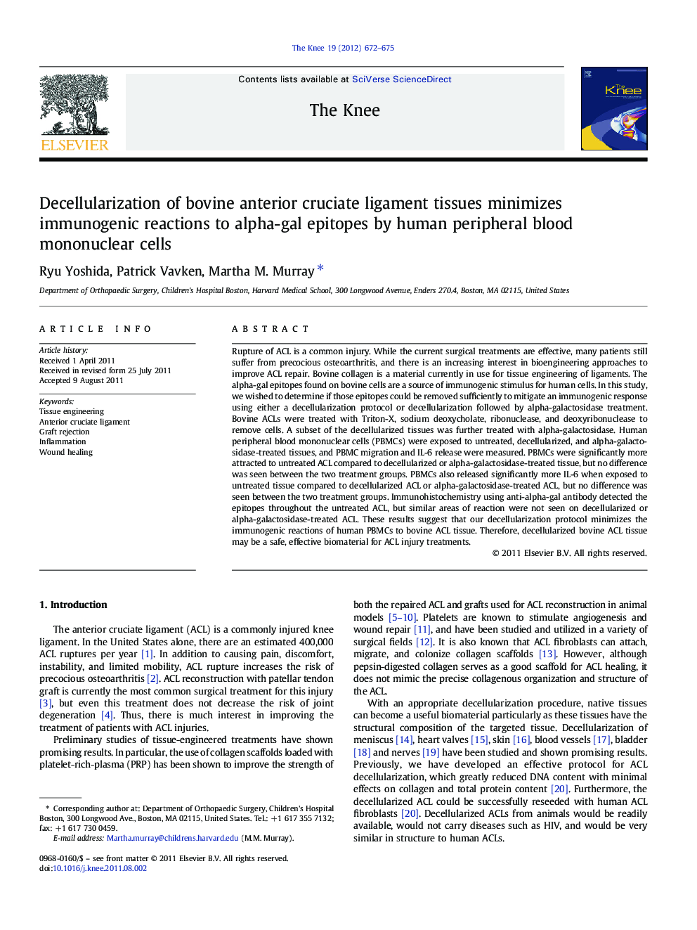 Decellularization of bovine anterior cruciate ligament tissues minimizes immunogenic reactions to alpha-gal epitopes by human peripheral blood mononuclear cells