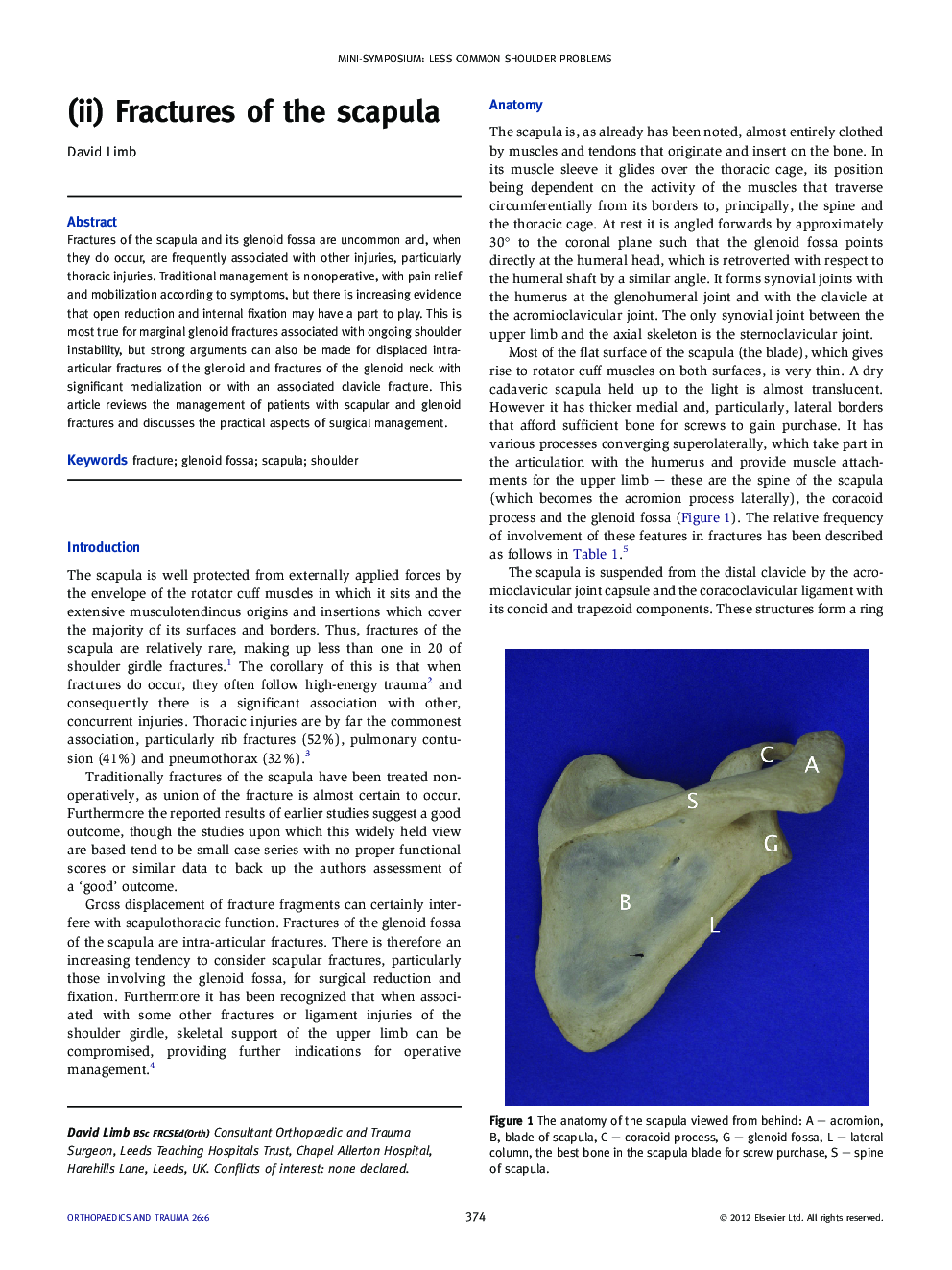 (ii) Fractures of the scapula