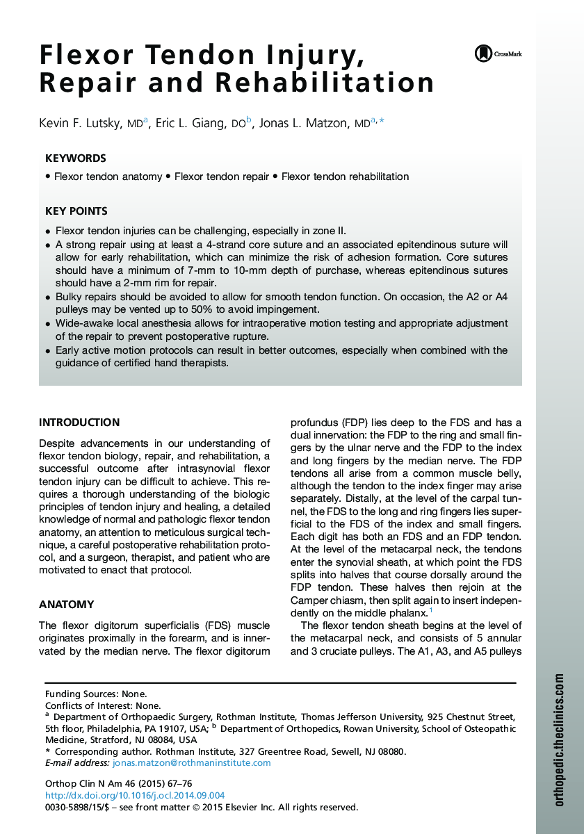 Flexor Tendon Injury, Repair and Rehabilitation