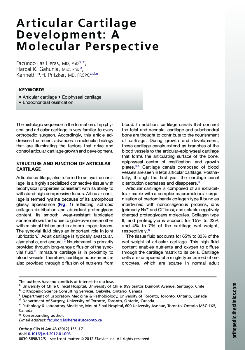 Articular Cartilage Development: A Molecular Perspective