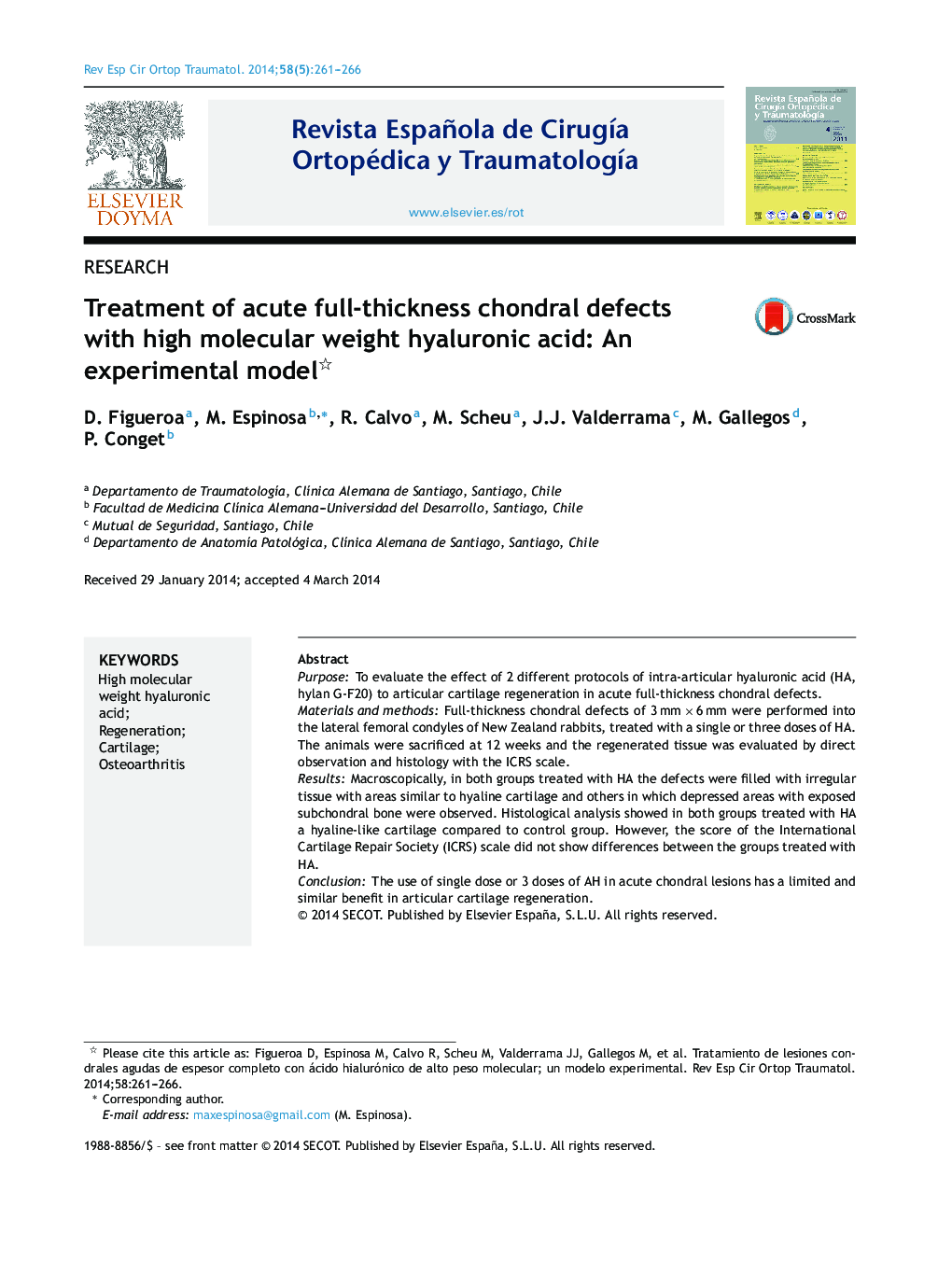 Treatment of acute full-thickness chondral defects with high molecular weight hyaluronic acid: An experimental model 